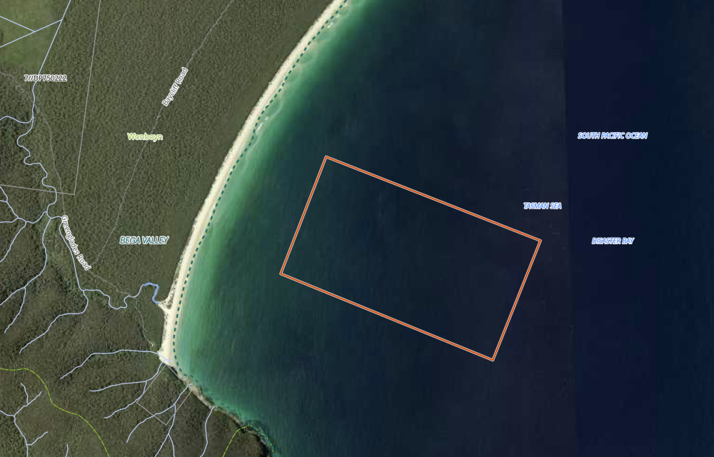 First ocean-based golden kelp farm in south coast NSW to create up to 60 jobs and unlock aquaculture supply opportunities across 200-hectare leasearticle image