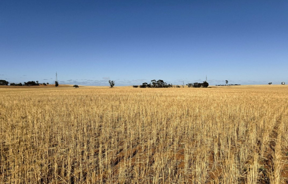 Landmark solar-battery project slated for northern Victoria, poised to be largest eight-hour battery installation in Australia, includes substation constructionarticle image